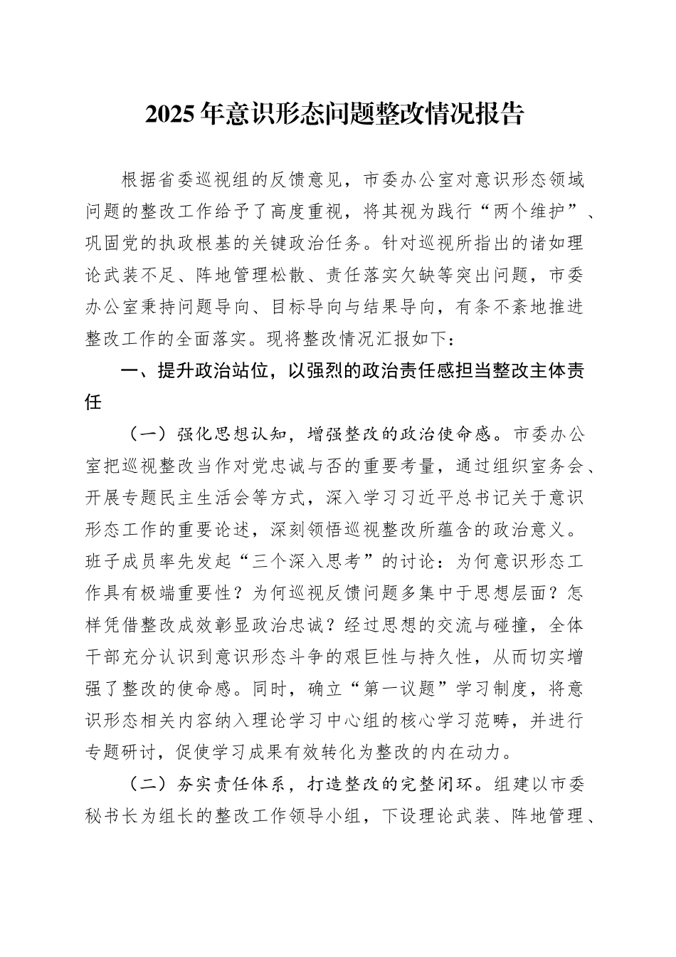 2025年意识形态问题整改情况报告_第1页