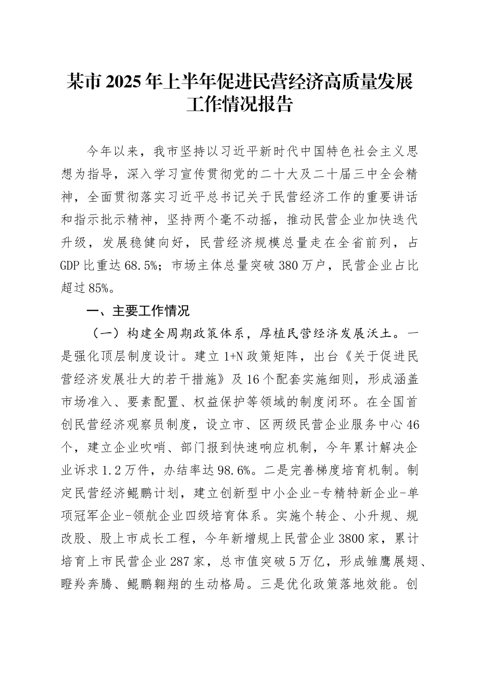 某市2025年上半年促进民营经济高质量发展工作情况报告_第1页