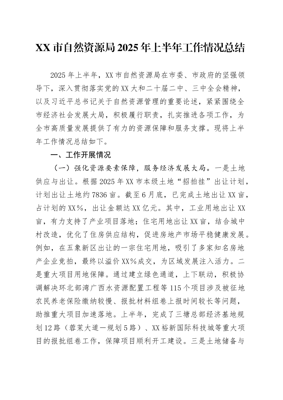 XX市自然资源局2025年上半年工作情况总结_第1页