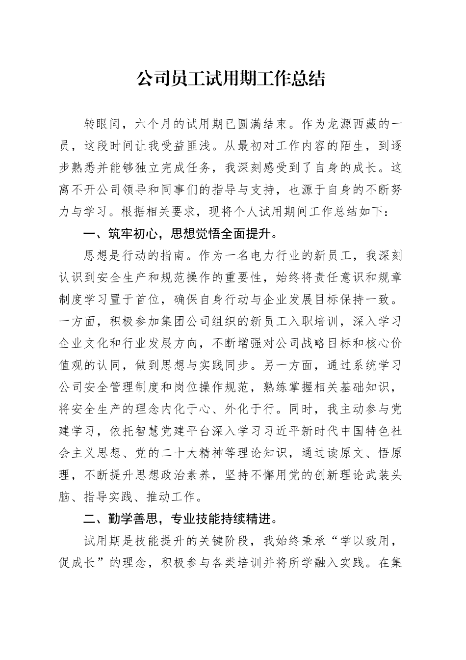 公司员工试用期工作总结_第1页