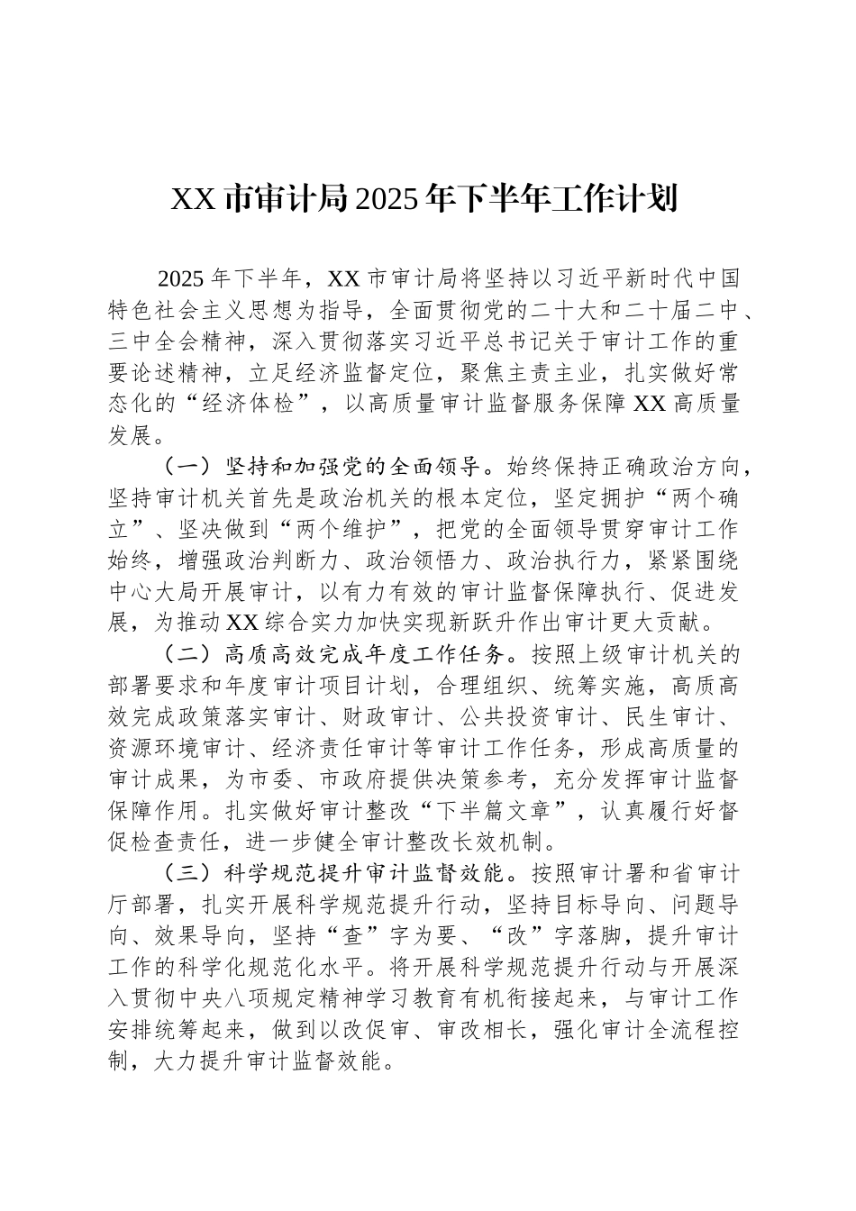 XX市审计局2025年下半年工作计划_第1页
