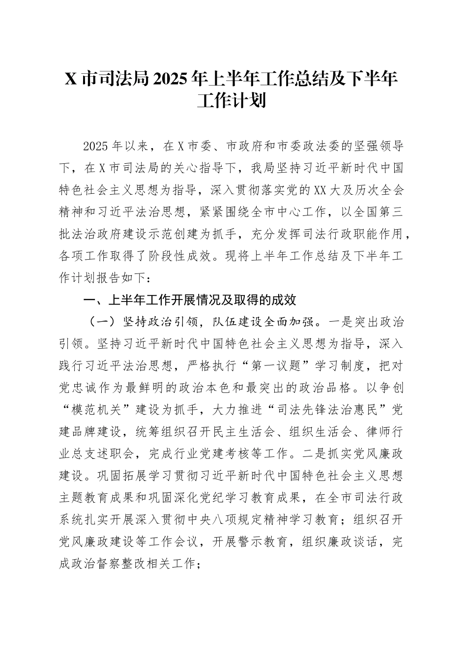 X市司法局2025年上半年工作总结及下半年工作计划_第1页