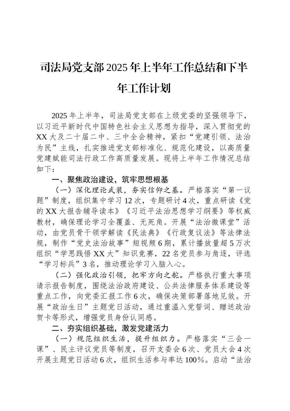 司法局党支部2025年上半年工作总结和下半年工作计划_第1页