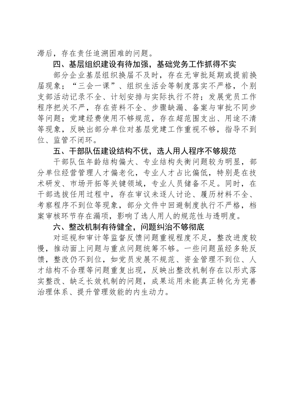 2025年被巡视单位存在的共性问题_第2页