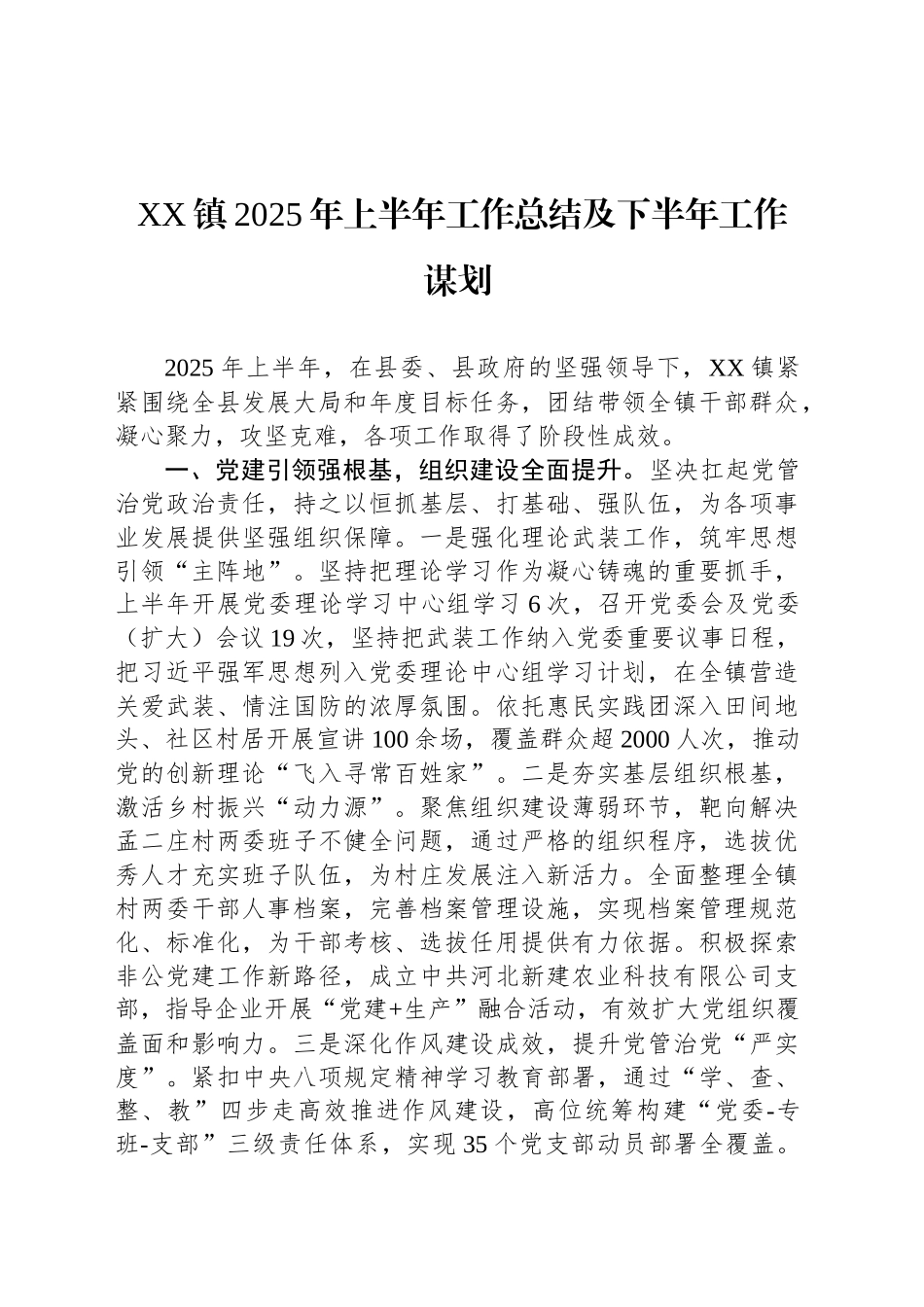 XX镇2025年上半年工作总结及下半年工作谋划_第1页