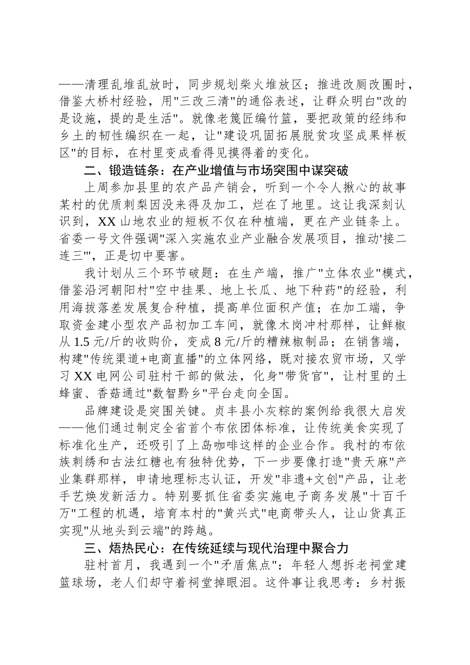 2025年新任驻村第一书记座谈会发言稿_第2页