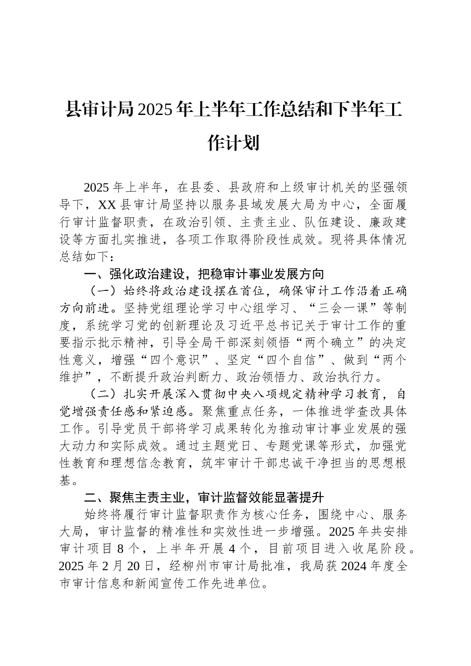县审计局2025年上半年工作总结和下半年工作计划_第1页