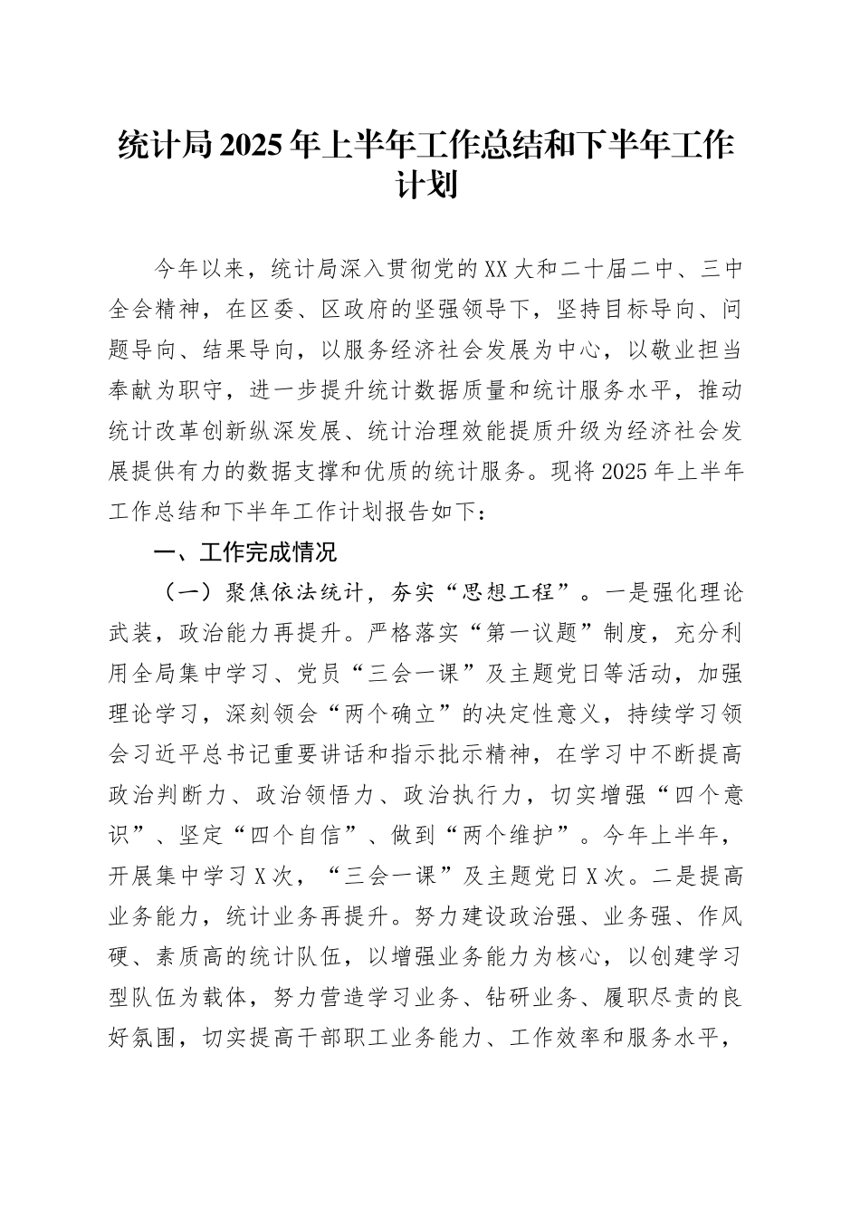 统计局2025年上半年工作总结和下半年工作计划_第1页