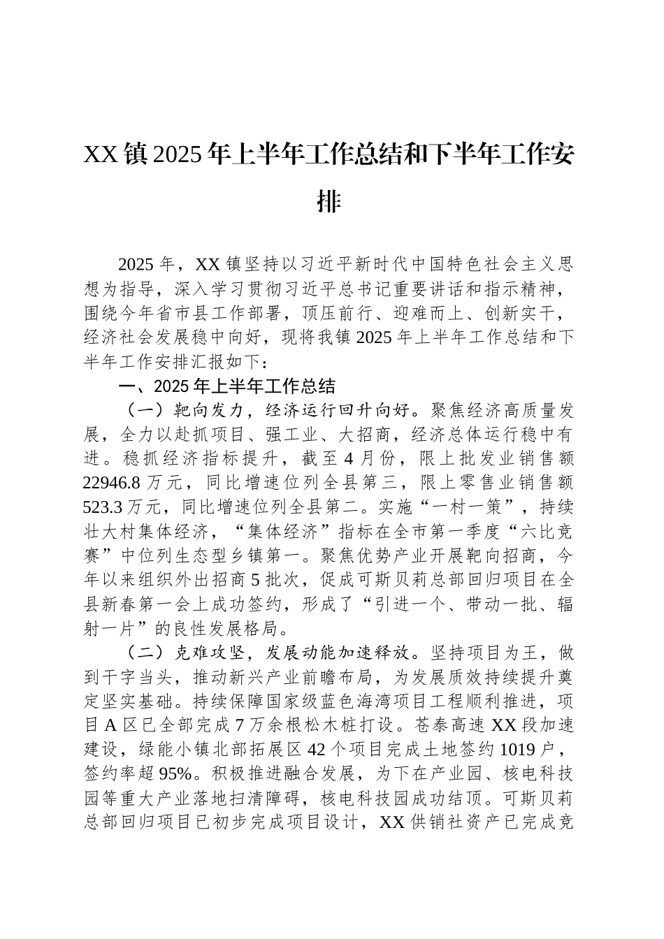 XX镇2025年上半年工作总结和下半年工作安排_第1页