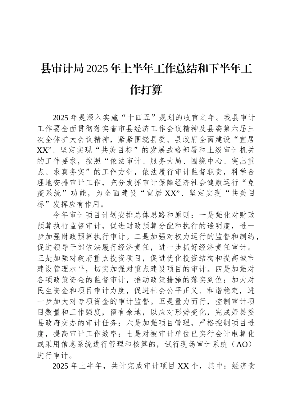 县审计局2025年上半年工作总结和下半年工作打算_第1页