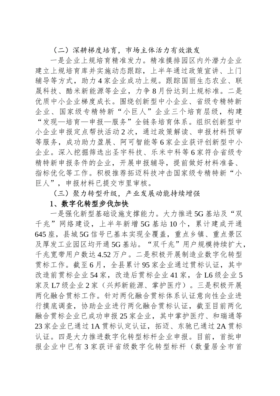 县工信局2025年上半年工作总结及下半年工作计划_第2页