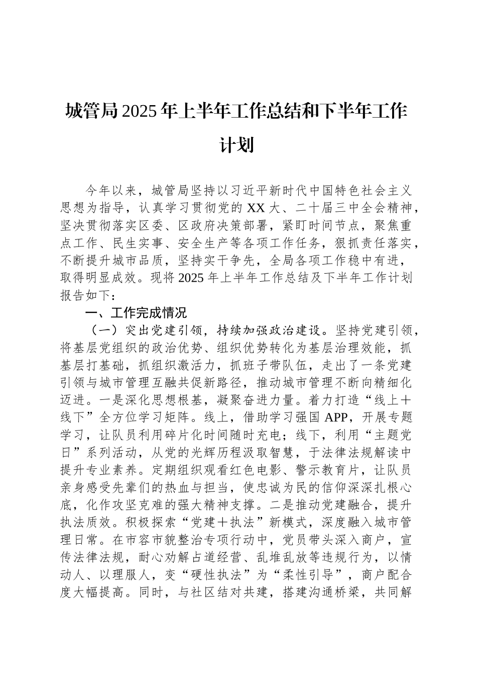 城管局2025年上半年工作总结和下半年工作计划_第1页