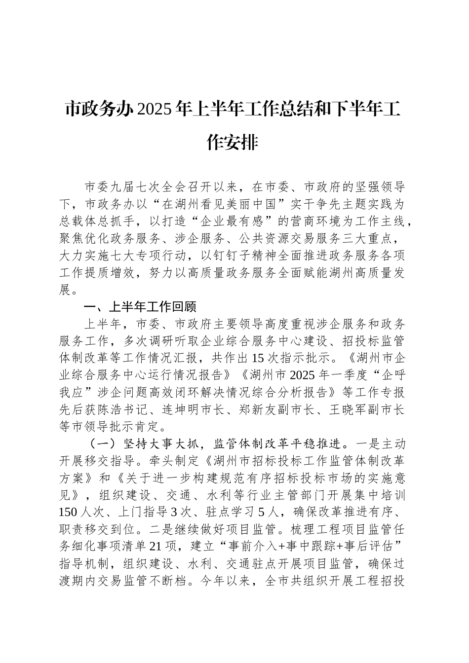 市政务办2025年上半年工作总结和下半年工作安排_第1页