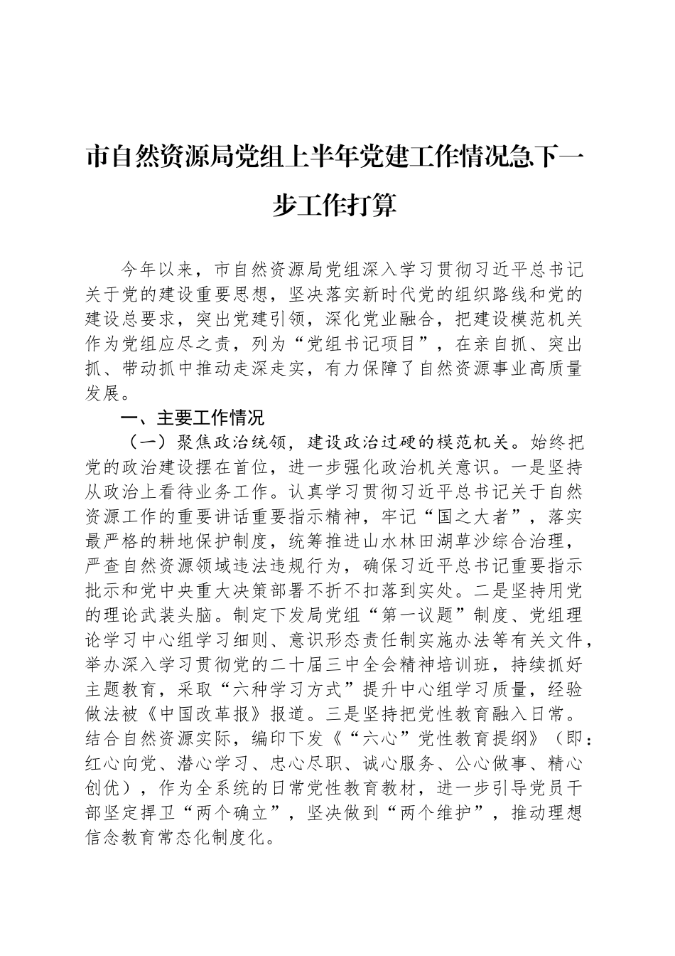 市自然资源局党组上半年党建工作情况急下一步工作打算_第1页