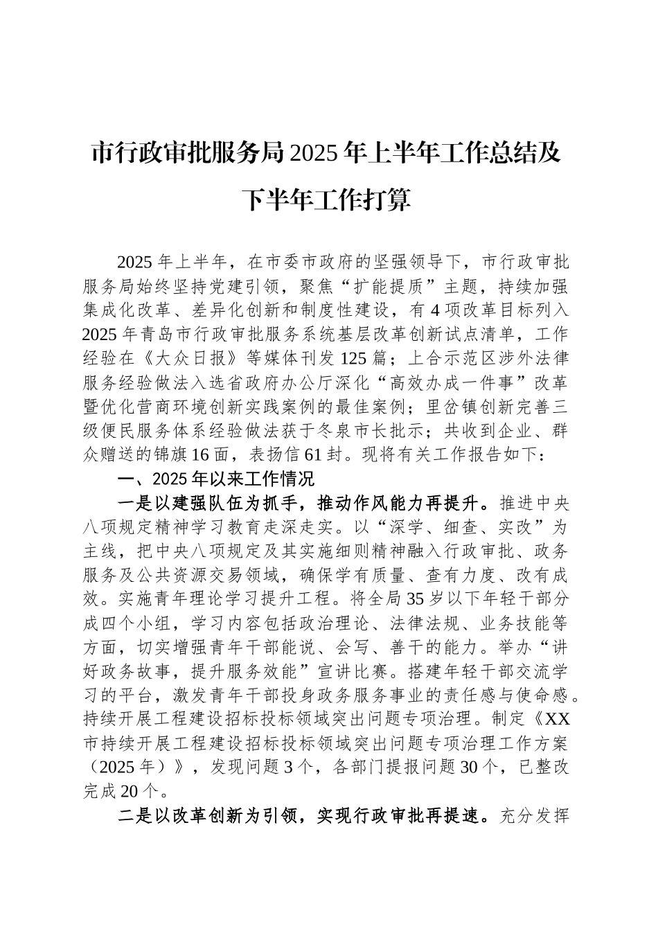 市行政审批服务局2025年上半年工作总结及下半年工作打算_第1页