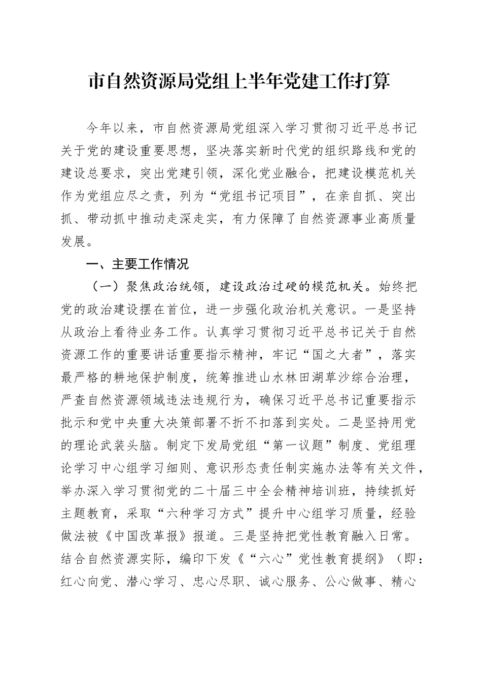 市自然资源局党组上半年党建工作打算_第1页