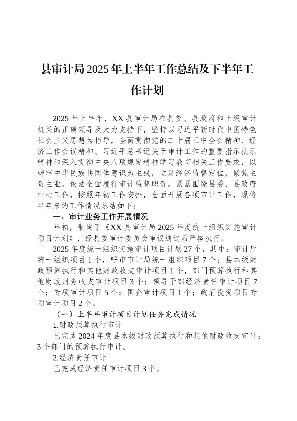 县审计局2025年上半年工作总结及下半年工作计划_第1页