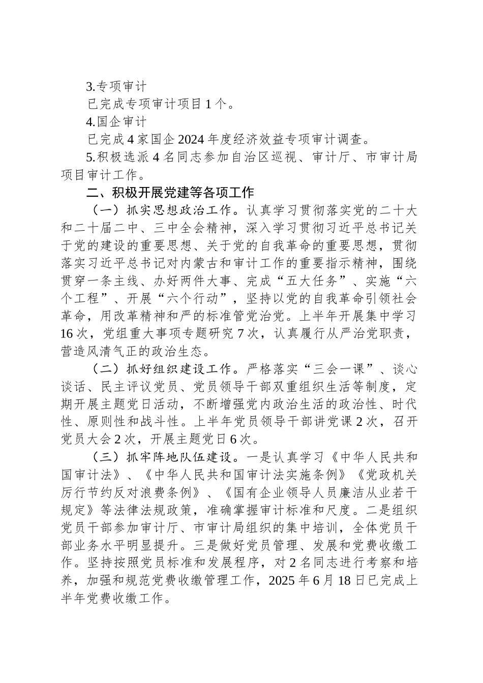 县审计局2025年上半年工作总结及下半年工作计划_第2页