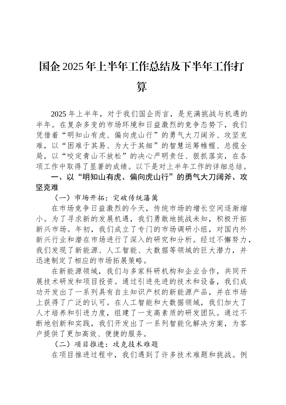 国企2025年上半年工作总结及下半年工作打算_第1页