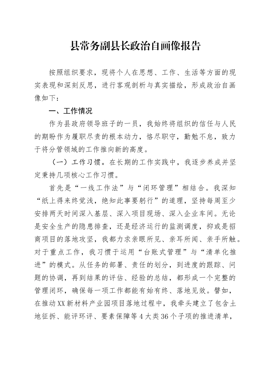 县常务副县长政治自画像报告_第1页