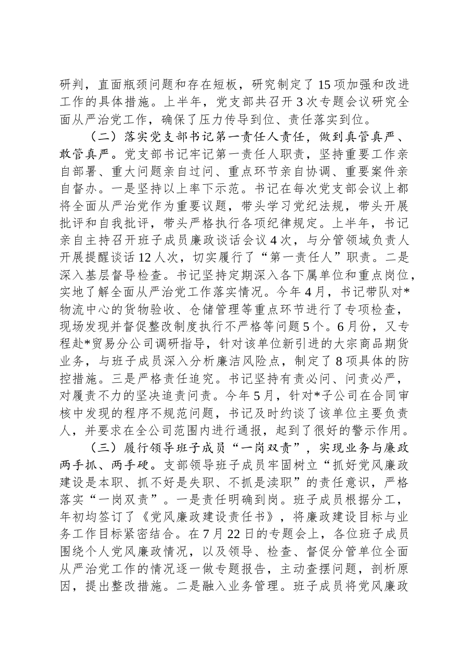 公司党支部2025年上半年落实全面从严治党情况的汇报_第2页