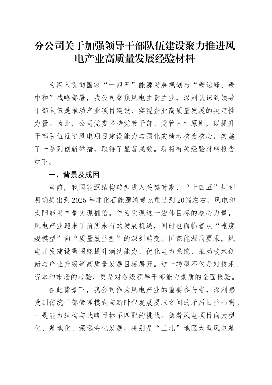 分公司关于加强领导干部队伍建设聚力推进风电产业高质量发展经验材料_第1页