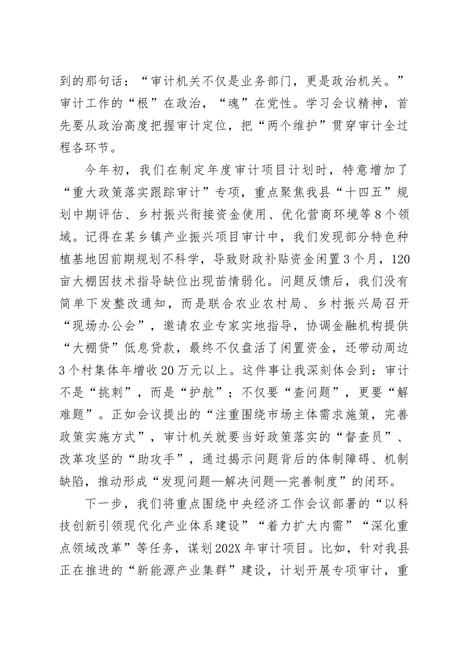 在全县审计系统学习贯彻中央经济工作会议精神专题交流会上的发言_第2页