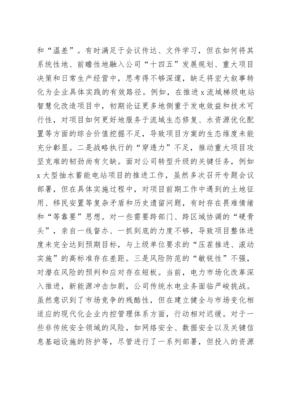 水电公司党委书记巡察整改专题民主生活会个人对照检查材料_第2页