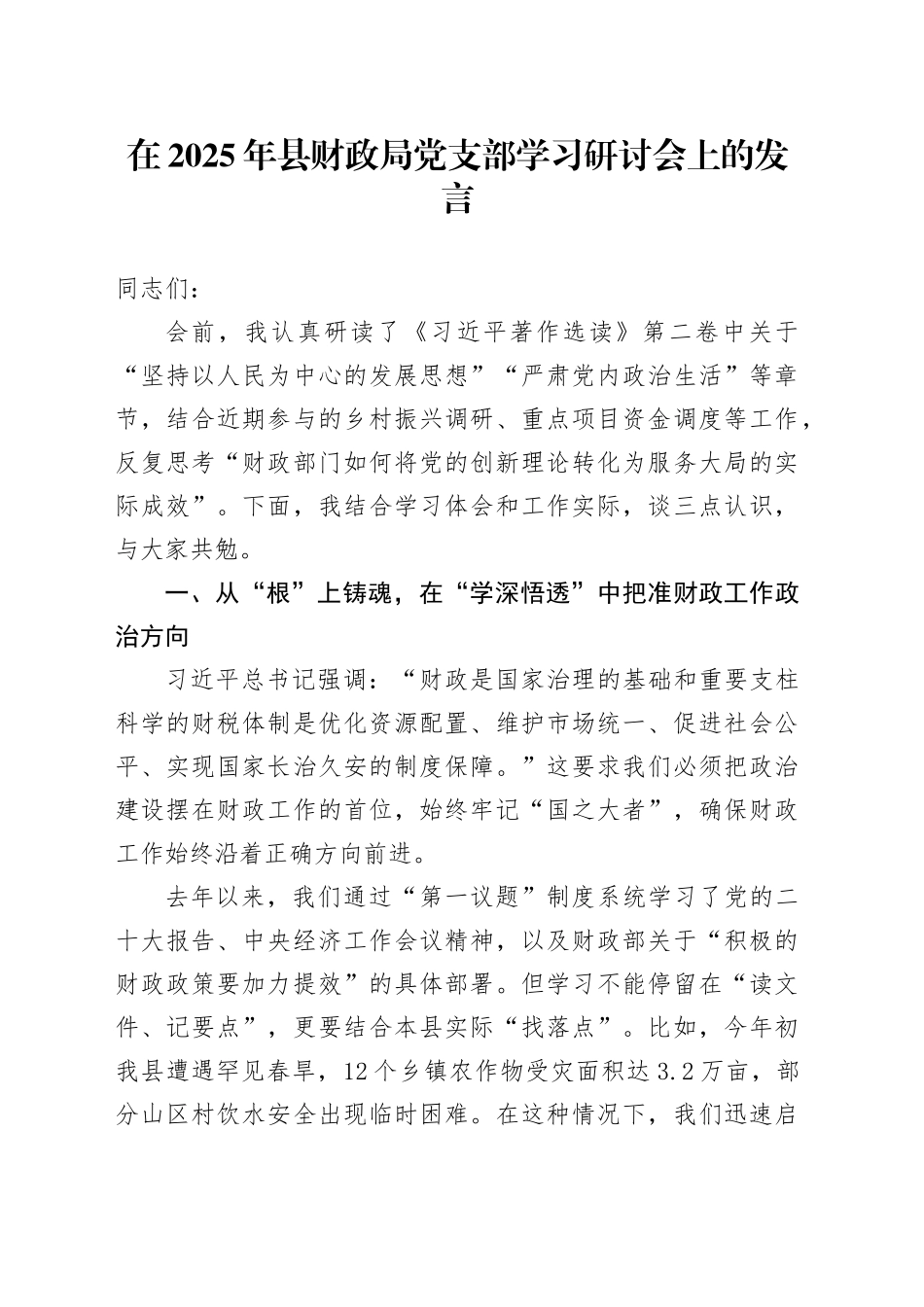 在2025年县财政局党支部学习研讨会上的发言_第1页