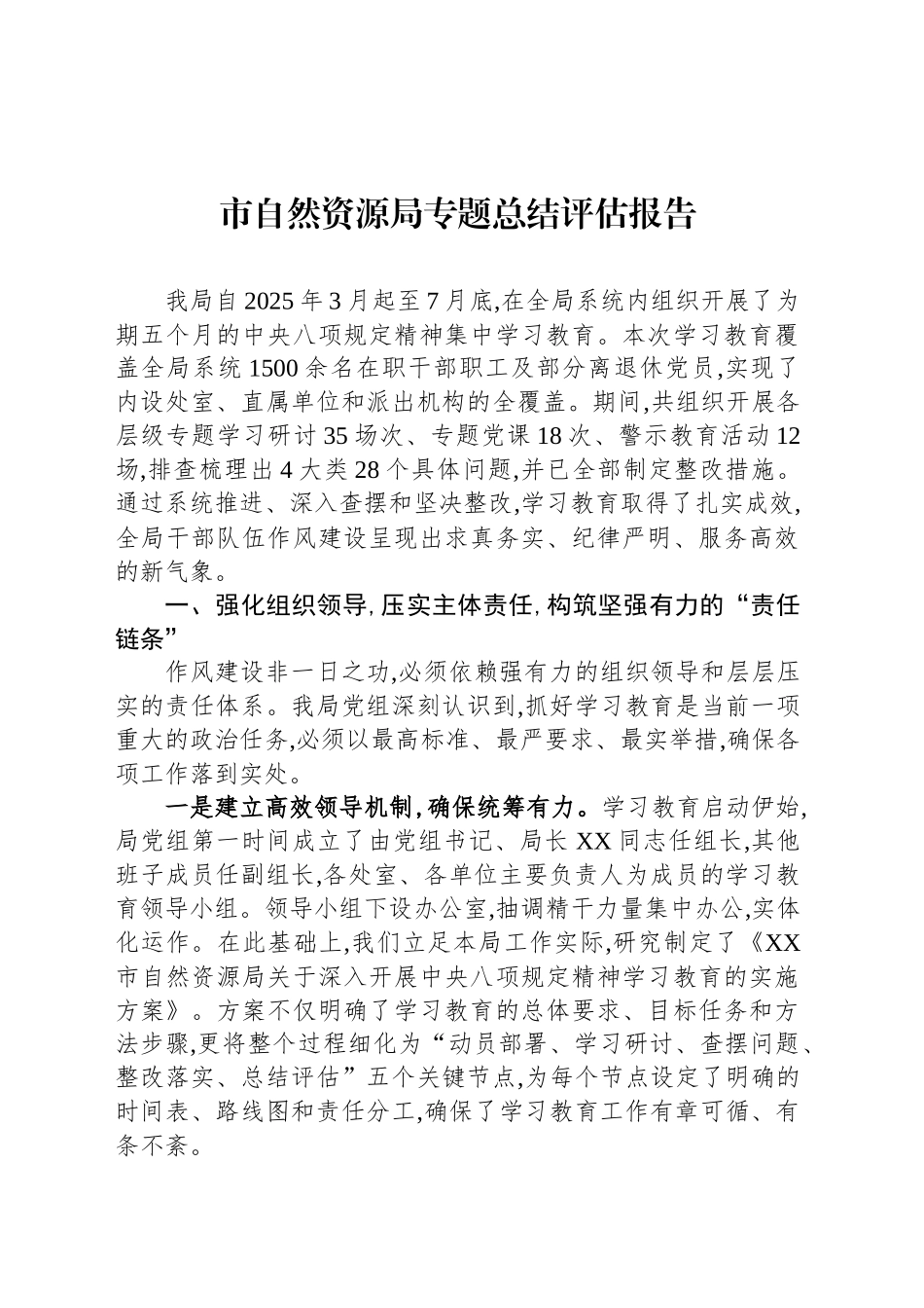 市自然资源局专题总结评估报告_第1页