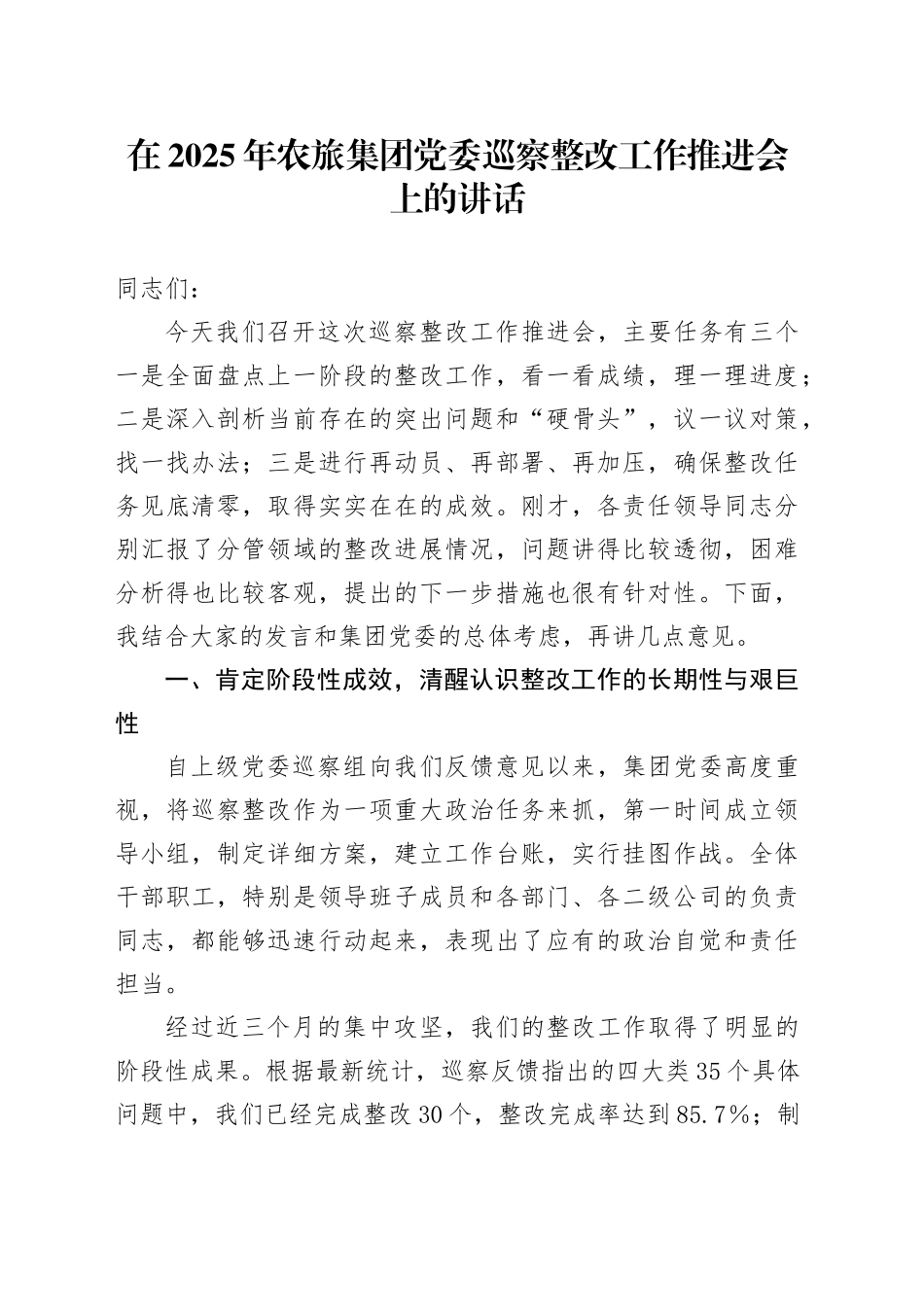 在2025年农旅集团党委巡察整改工作推进会上的讲话_第1页